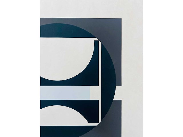 Gilbert decock - kleurenzeefdruk - lage instel - afbeelding 5 van  9