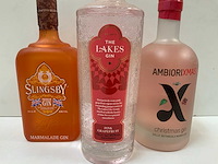 Gin (3x) - afbeelding 4 van  5