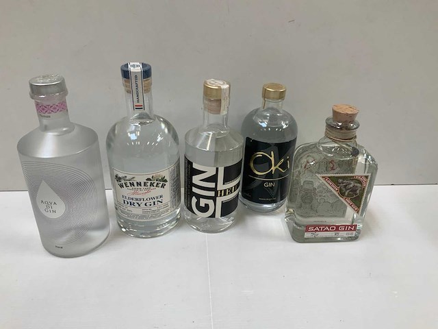 Gin (5x) - afbeelding 1 van  6
