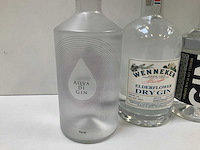 Gin (5x) - afbeelding 2 van  6