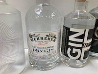 Gin (5x) - afbeelding 3 van  6
