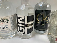Gin (5x) - afbeelding 4 van  6