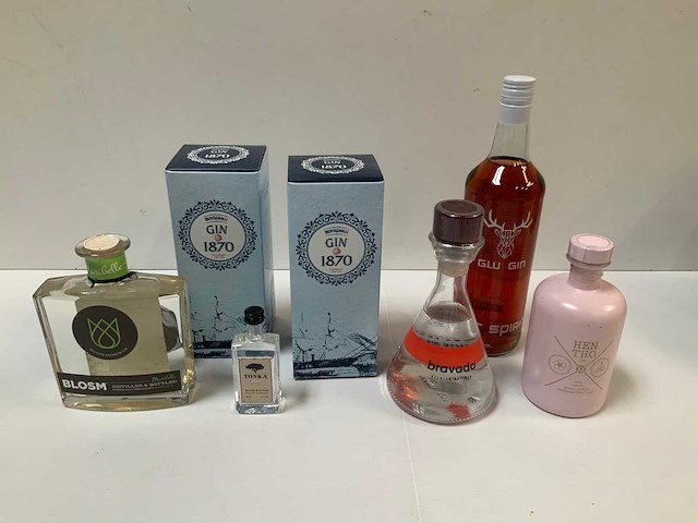 Gin (6x) - afbeelding 1 van  4