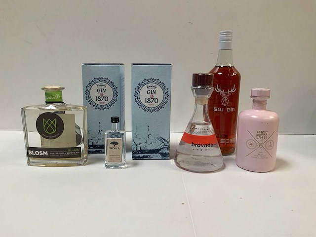 Gin (6x) - afbeelding 2 van  4