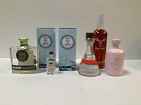 Gin (6x) - afbeelding 2 van  4