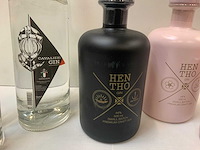 Gin (6x) - afbeelding 2 van  2