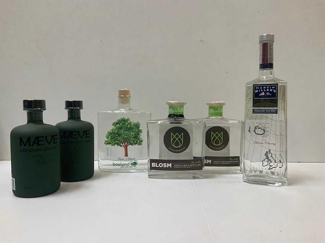 Gin (6x) - afbeelding 2 van  7