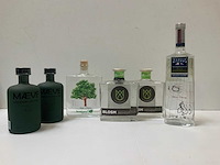Gin (6x) - afbeelding 2 van  7