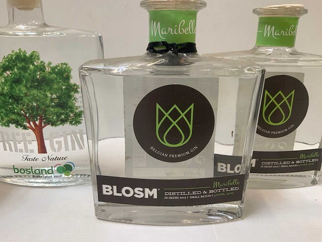 Gin (6x) - afbeelding 5 van  7