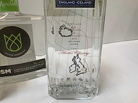 Gin (6x) - afbeelding 7 van  7