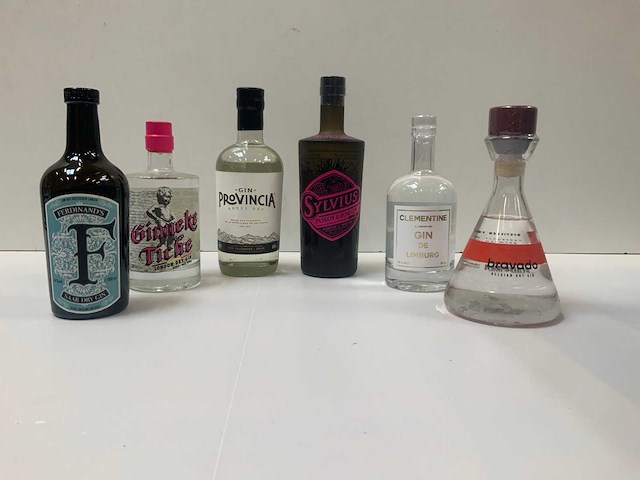 Gin (6x) - afbeelding 1 van  5