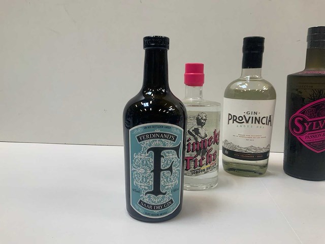 Gin (6x) - afbeelding 2 van  5