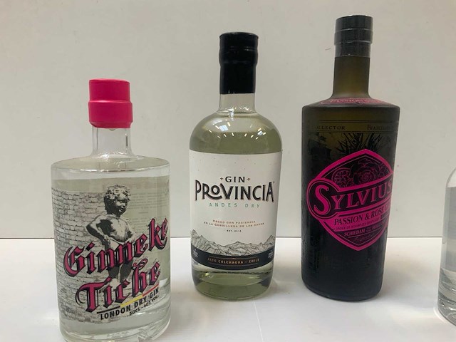Gin (6x) - afbeelding 3 van  5