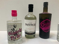 Gin (6x) - afbeelding 3 van  5