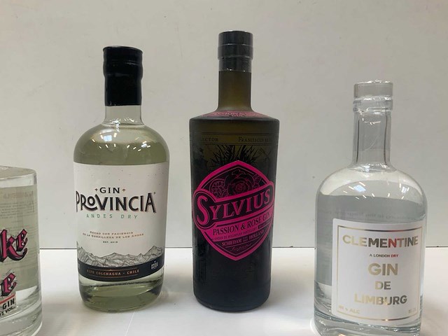 Gin (6x) - afbeelding 4 van  5