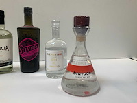 Gin (6x) - afbeelding 5 van  5