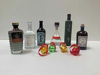 Gin (6x) - afbeelding 1 van  8