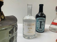 Gin (6x) - afbeelding 3 van  8