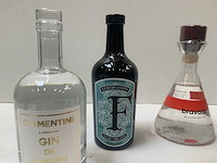 Gin (6x) - afbeelding 4 van  8
