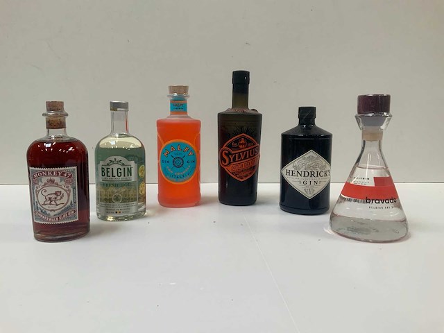 Gin (6x) - afbeelding 1 van  7
