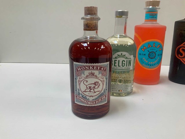 Gin (6x) - afbeelding 2 van  7