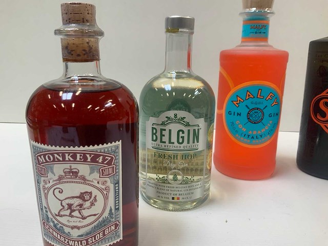 Gin (6x) - afbeelding 3 van  7