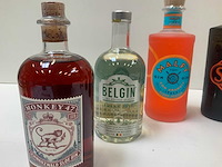 Gin (6x) - afbeelding 3 van  7
