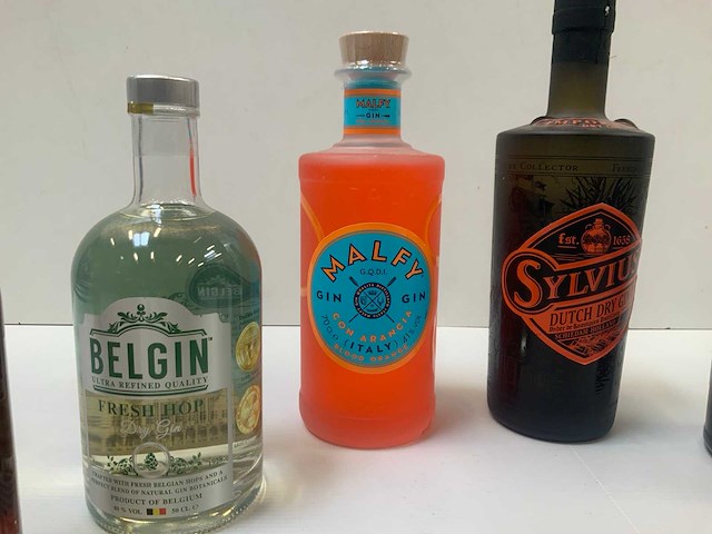 Gin (6x) - afbeelding 4 van  7