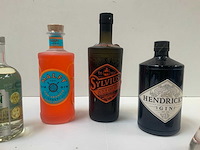 Gin (6x) - afbeelding 5 van  7