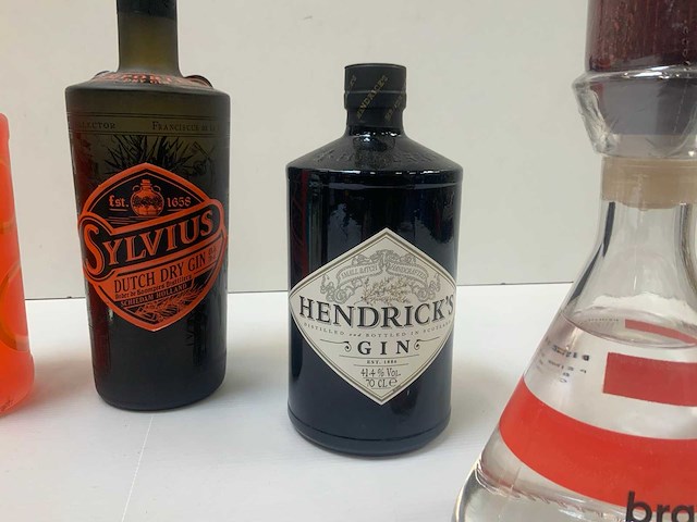 Gin (6x) - afbeelding 6 van  7