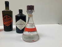 Gin (6x) - afbeelding 7 van  7