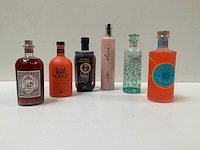 Gin (6x) - afbeelding 1 van  7