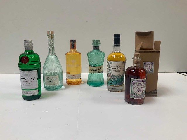 Gin (6x) - afbeelding 1 van  7