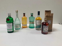 Gin (6x) - afbeelding 1 van  7