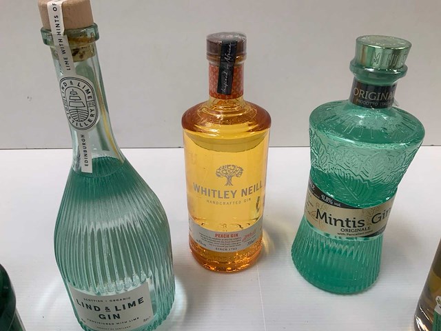 Gin (6x) - afbeelding 4 van  7