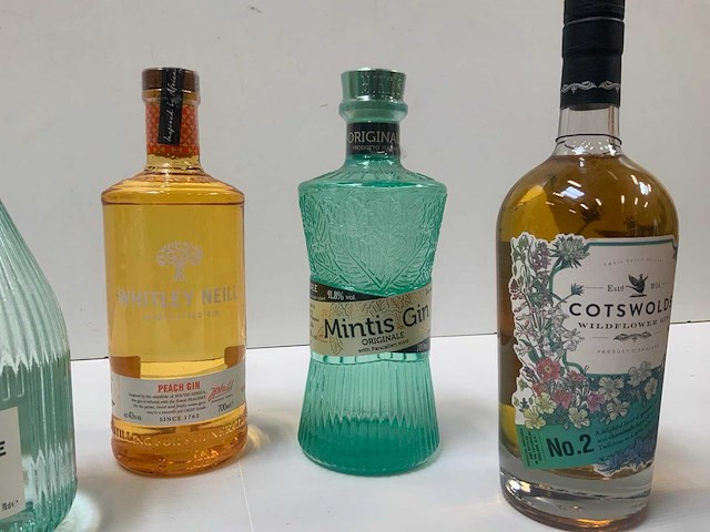 Gin (6x) - afbeelding 5 van  7