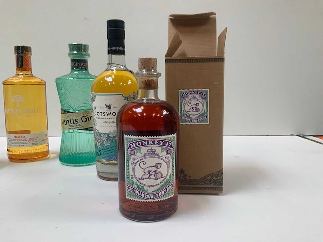 Gin (6x) - afbeelding 7 van  7