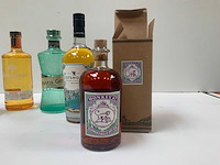 Gin (6x) - afbeelding 7 van  7