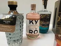 Gin (6x) - afbeelding 3 van  8