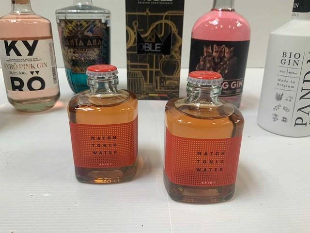 Gin (6x) - afbeelding 8 van  8
