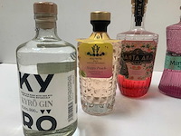 Gin (6x) - afbeelding 3 van  4
