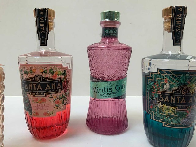 Gin (6x) - afbeelding 4 van  4