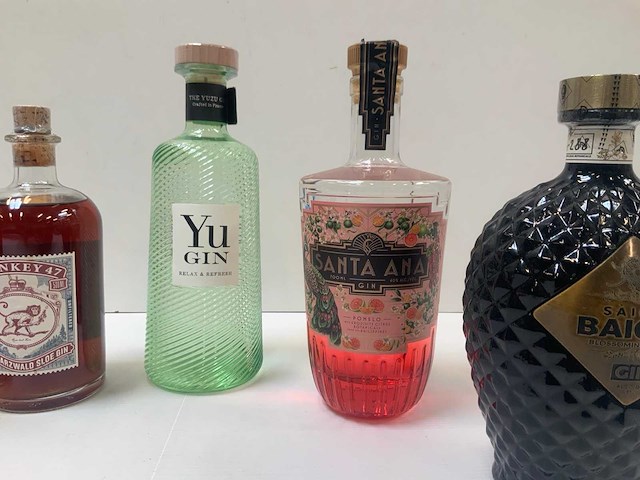 Gin (6x) - afbeelding 3 van  4