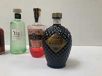 Gin (6x) - afbeelding 4 van  4