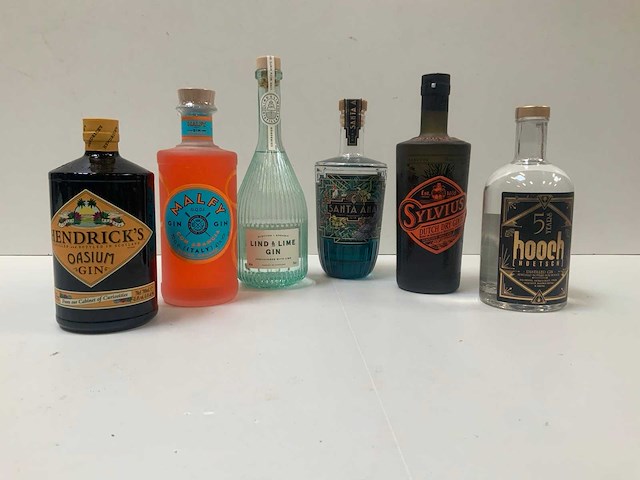 Gin (6x) - afbeelding 1 van  7