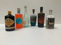 Gin (6x) - afbeelding 1 van  7