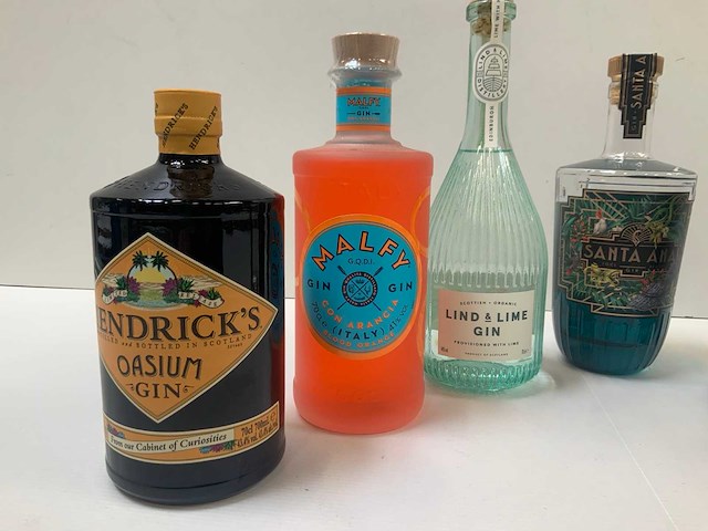 Gin (6x) - afbeelding 3 van  7