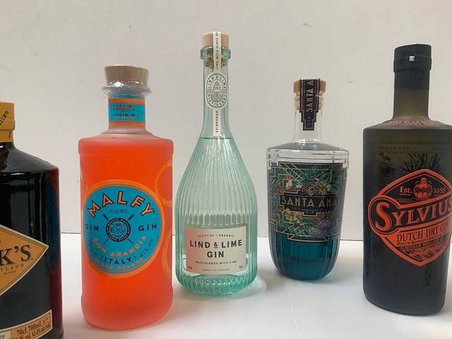 Gin (6x) - afbeelding 4 van  7