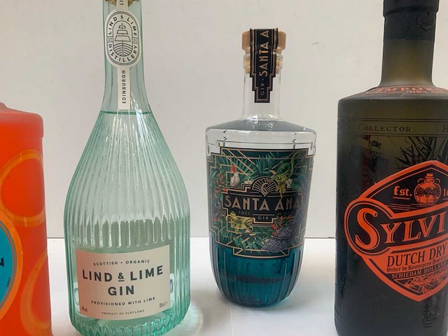 Gin (6x) - afbeelding 5 van  7