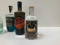 Gin (6x) - afbeelding 7 van  7